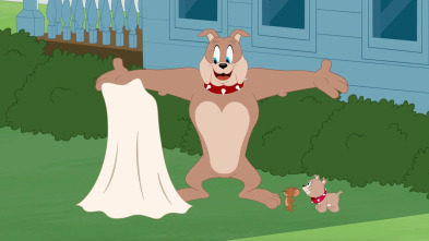 Imagen de El Show de Tom y Jerry (T5) - 2