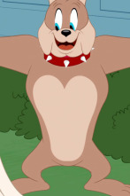 Imagen de El Show de Tom y Jerry (T5) - 1