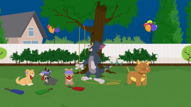 Imagen de El Show de Tom y... (T1): Cumpleaños accidentado - 2