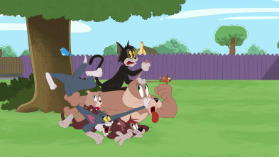 Imagen de El Show de Tom y... (T4): El jugar se va a acabar - 2