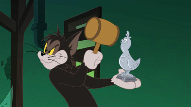 Imagen de El Show de Tom y... (T4): La paloma maltesa - 2