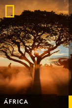 Imagen de África  - 1