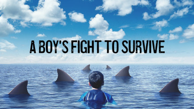 Imagen de Luchando con tiburones - 2