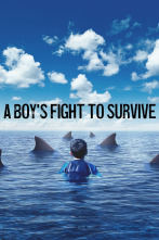 Imagen de Luchando con tiburones - 1