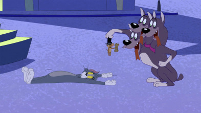 Imagen de El Show de Tom y... (T4): Tres cabezas mejor que una - 2