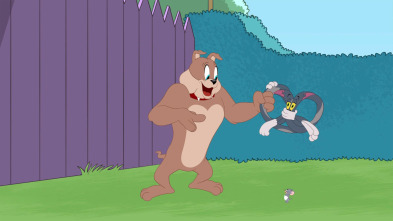 Imagen de El Show de Tom y... (T4): Cómo ser un perro - 2