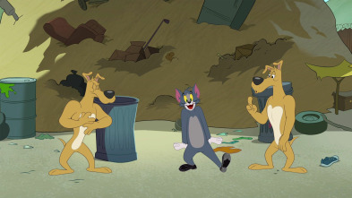 Imagen de El Show de Tom y... (T4): El gato bailarín - 2