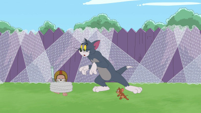 Imagen de El Show de Tom y... (T4): Cuidado con el perro - 2