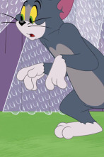 Imagen de El Show de Tom y... (T4): Cuidado con el perro - 1