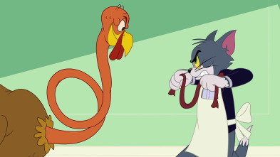 Imagen de El Show de Tom y... (T4): El Pavo Tom - 2