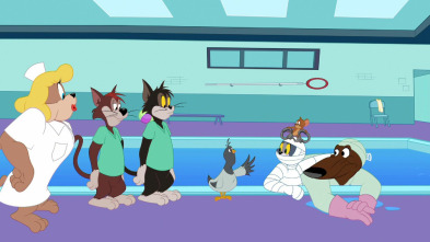 Imagen de El Show de Tom y... (T2): Falta de tracción - 2