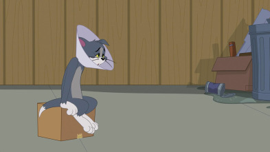 Imagen de El Show de Tom y... (T2): Cara de antena - 2