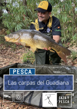 Las carpas del Guadiana