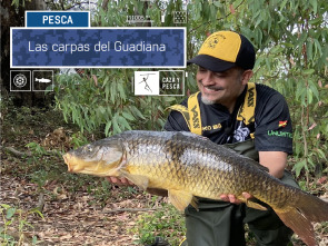 Imagen de Las carpas del Guadiana - 2