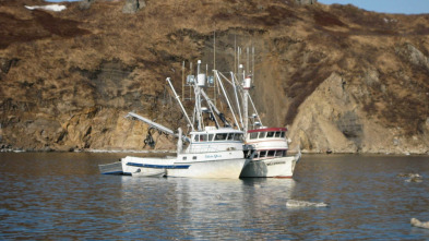 Bristol Bay Brawl