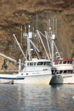 Bristol Bay Brawl