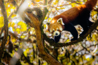 Imagen de Asia  - 4