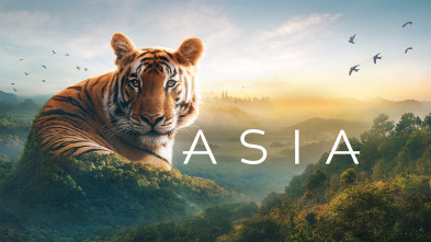 Imagen de Asia  - 2