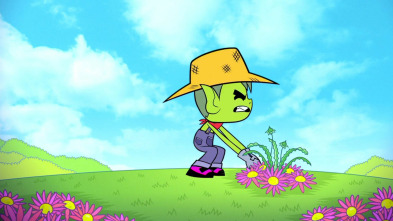 Imagen de Teen Titans Go! (T2): Fruta de cabeza - 2
