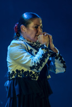 Imagen de El flamenco es universal - 3
