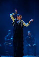 Imagen de El flamenco es universal - 4