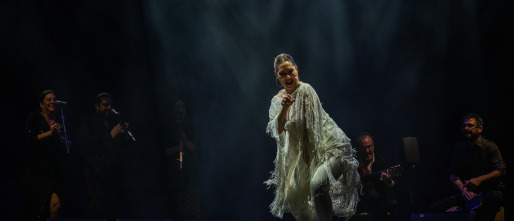 Imagen de El flamenco es universal - 6