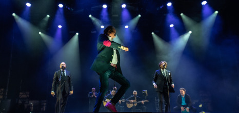 Imagen de El flamenco es universal - 9