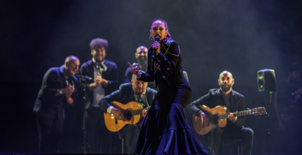 Imagen de El flamenco es universal - 10