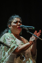 Imagen de El flamenco es universal - 11