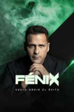 Imagen de Fénix: Vuelo hacia el éxito (T1) - 1