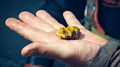 Imagen de La fiebre del oro:...: El regalo dorado de Fred - 2