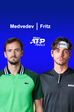 Primer Día: Medvedev - Fritz