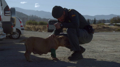 Imagen de Seprona en acción: Ep.13 - 2