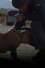 Imagen de Seprona en acción: Ep.13 - 1