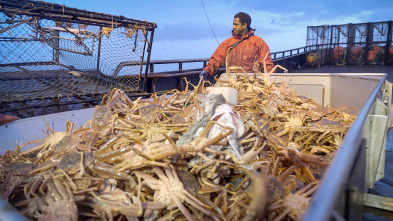 Pesca radical: Nada excepto mamíferos