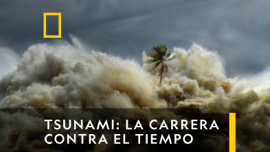 Tsunami: La carrera contra el tiempo 