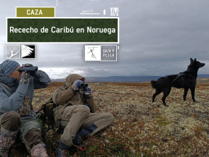 Imagen de Rececho de Caribú en Noruega - 2