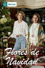 Flores de Navidad (T1)