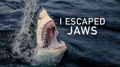 Imagen de Yo escapé de un tiburón - 2
