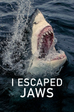 Imagen de Yo escapé de un tiburón - 1