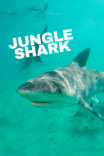 Imagen de Tiburones en la jungla - 1