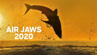 Imagen de Shark week: mejores momentos - 2