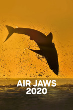 Imagen de Shark week: mejores momentos - 1