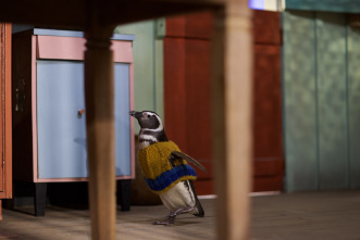 Imagen de Mi amigo el pingüino - 5