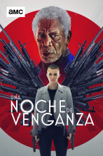 Una noche de venganza