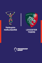 T. Regular: Harlequins - Leicester