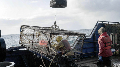 Imagen de Pesca radical (T20): Frío exterior - 2