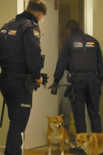 Imagen de 091: Alerta Policía (T7): Ep.2 - 1