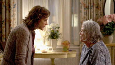 Imagen de Shameless (T2): Ep.8 Paternidad - 2