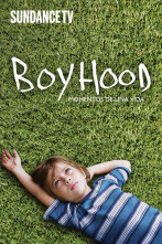 Boyhood. Momentos de una vida